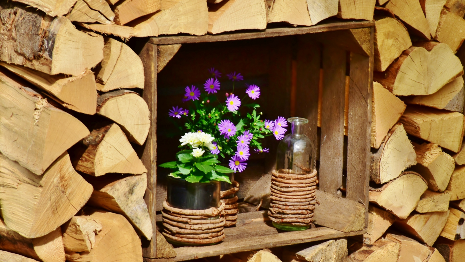 flowers in a niche in stacked firewood